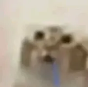captionless image