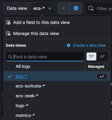 Data View for all ECS Formatted Logs
