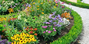 Professional Garden Services in Ascot: The idea of changing an outdoor area