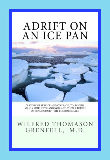 Adrift On An Ice Pan