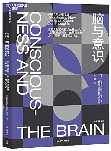 Consciousness visual data 7