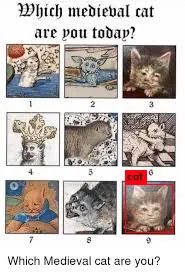 Cat medieval