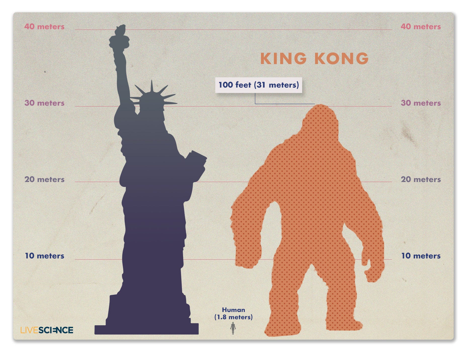 Рост кинг конга. Рост Кинг Конга и Годзиллы. Какой рост у Кинг Конга 2021. Кинг Конг рост в 2021. Кинг Конг Размеры.