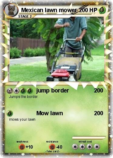 What is a Mexican Lawn Mower : The Ultimate Guide | by Lawngardenoasis