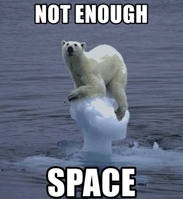 Transforming Tiny Backyards: A Guide to Maximizing Limited Spaces