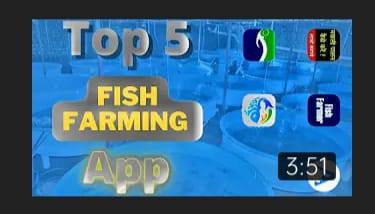 Top Five Fish Farming App. In this generation of robots and… | by ...