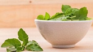 Wellhealthorganic Home Remedies Tag: For Best Health Benefits 3 0*9lOjOY40 tlPYlh4
