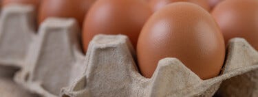 Multas por Autoconsumo de Huevos: Todo lo que Necesitas Saber para Evitar Sanciones