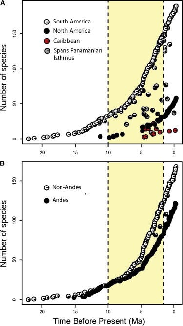Figure 2. Hummingbird Species Accumulation Estimates over Time. (A) Primary bioregion and (B) Andean versus non-Andean occurrence. (doi:10.1016/j.cub.2014.03.016)