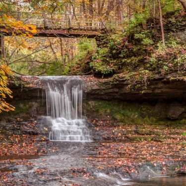 Walk, Woods, Waterfalls, and the Dharma: A Day of Discovery | by Jeremy ...