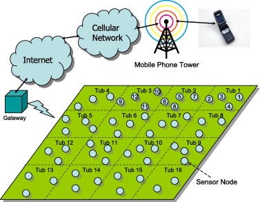 Vodafone Business Expands IoT Deployment to Transform Egypt’s Agriculture Sector