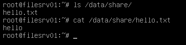 Client file and it’s content are exist in the NFS share directory