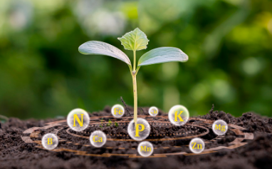 Applying the right nutrient combinations for optimal crop growth