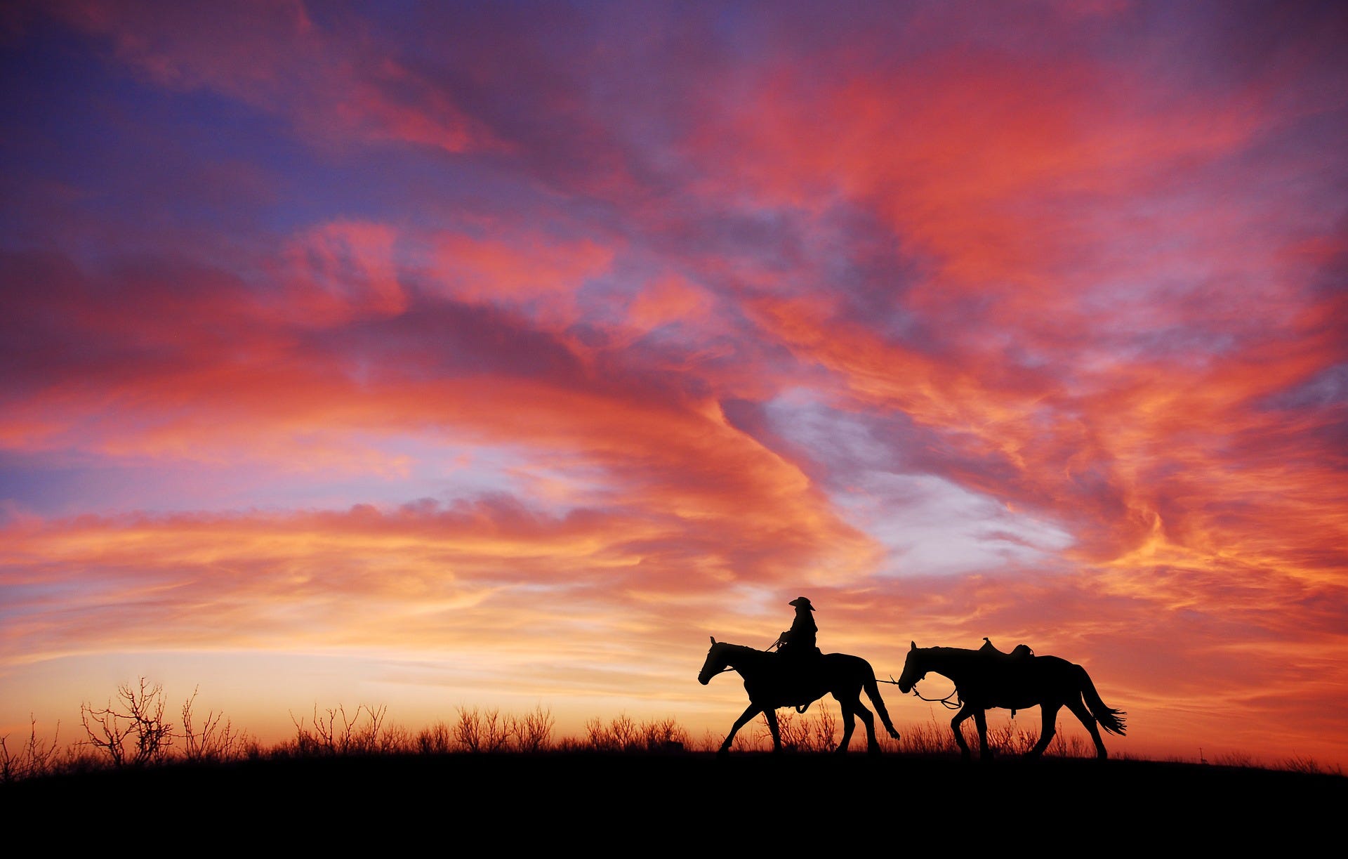 LGBTQ Reads: Brokeback Mountain. A look at the classic novella that… | by  Brian Rowe | Medium