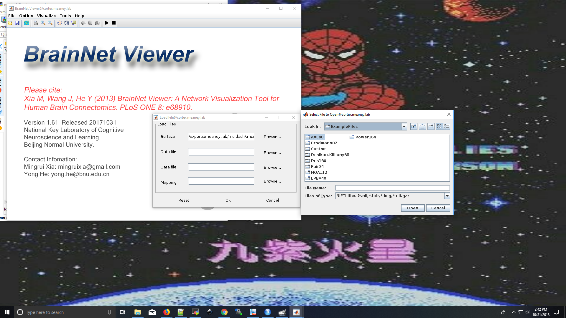 Spider, The Microsoft Windows XP Wiki