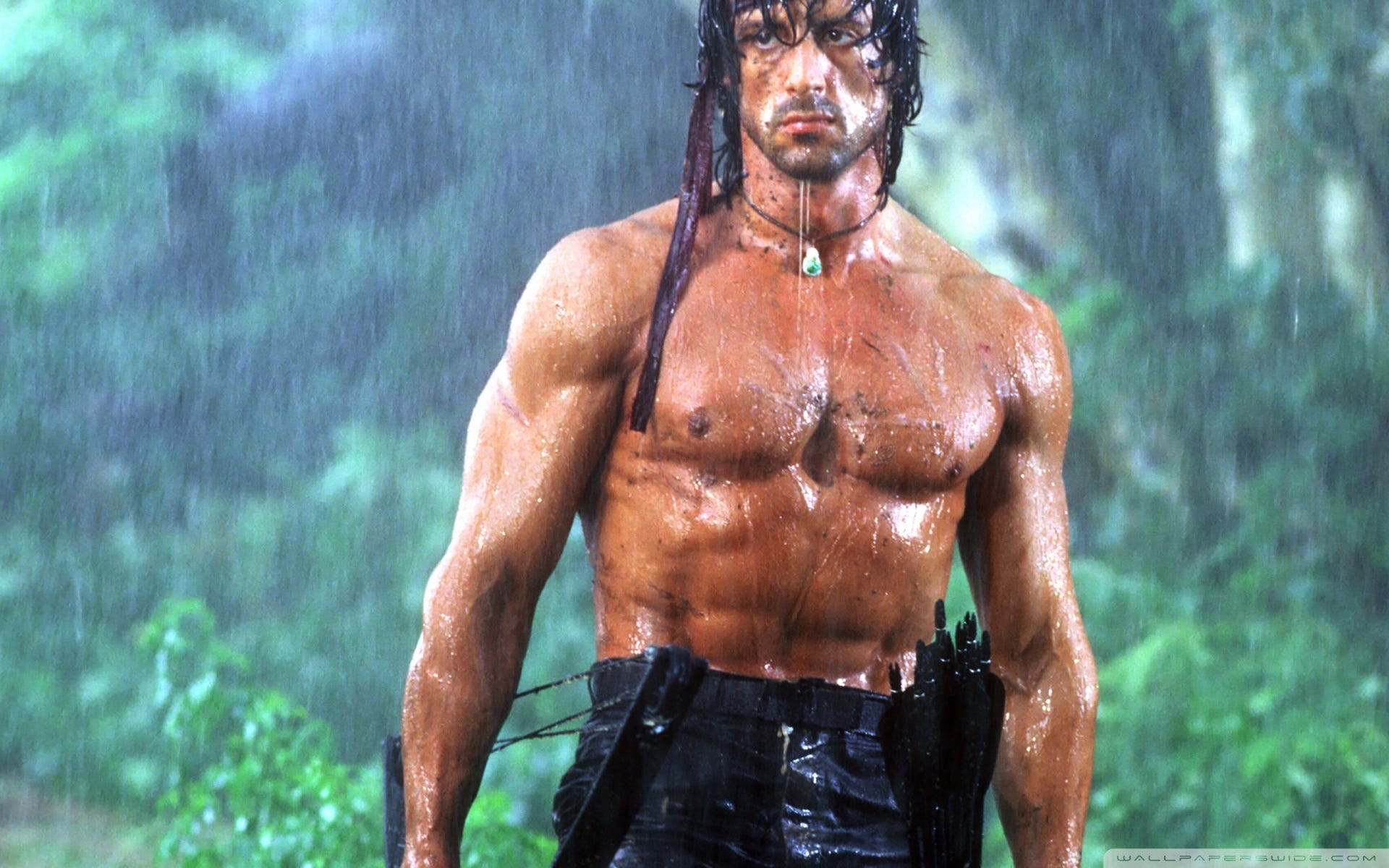 The Rambo Effect. The making of an American hero, and… | by Greg