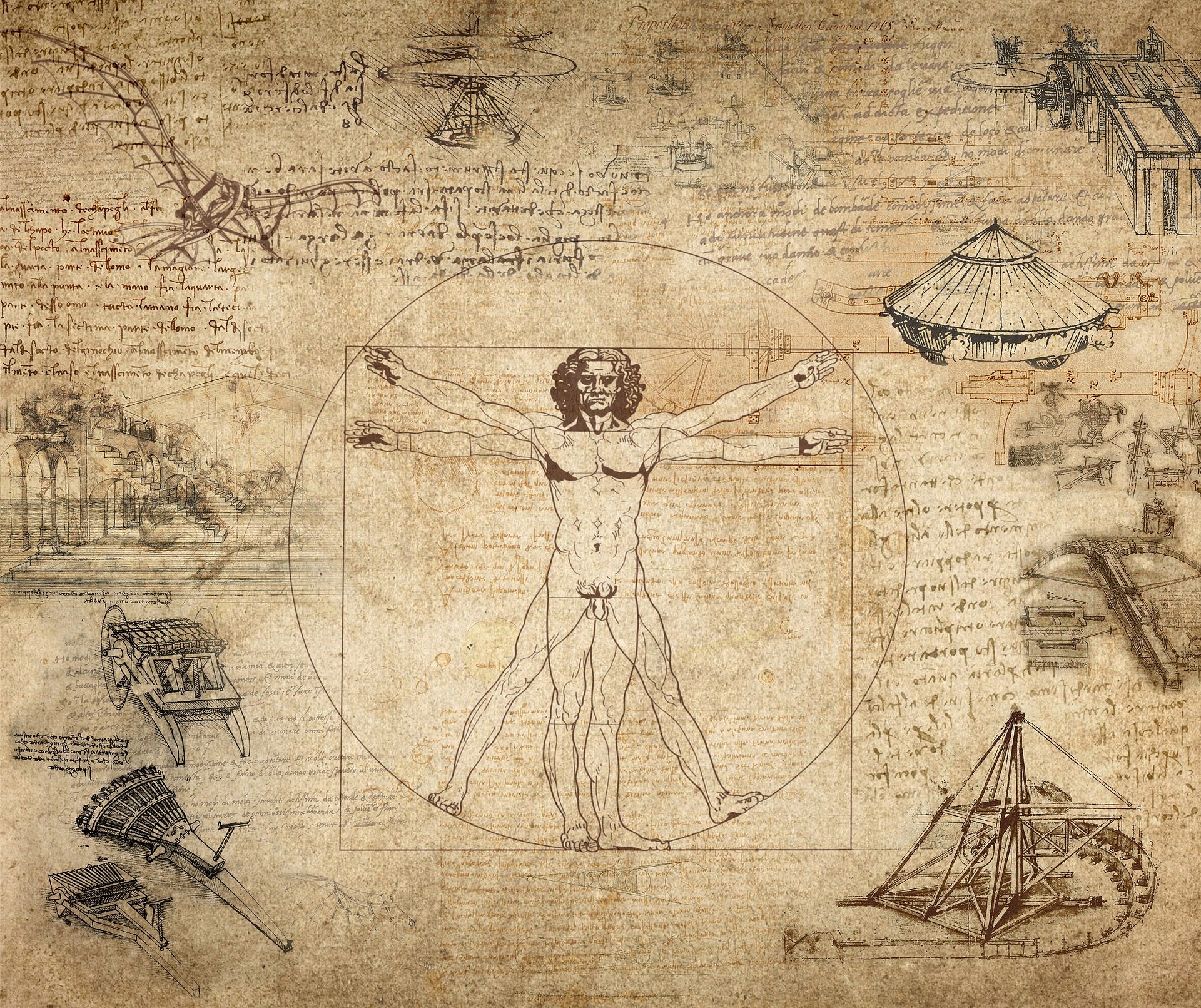 Top 67+ imagen leonardo da vinci education background - thpthoangvanthu ...