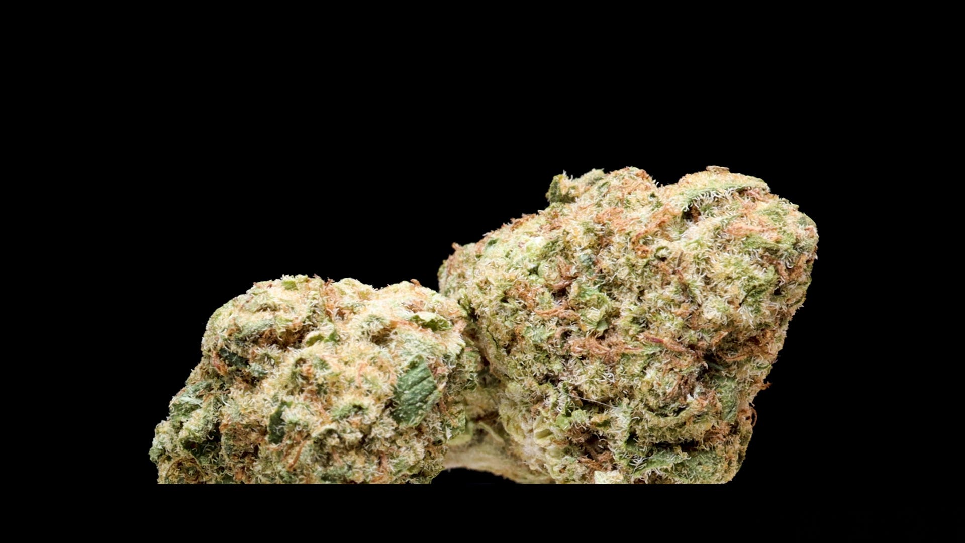 Is Wu-Tang's Wu-Goo Good Enough For You? Lava Cake Strain Review | by The  Cannabis Connoisseur | The Cannabis Connoisseur | Medium