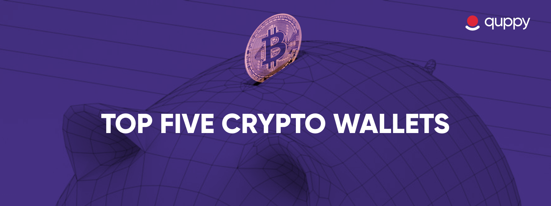 TOP FIVE CRYPTO WALLETS. You might have already learned that the… | by  Quppy | Quppy | Medium