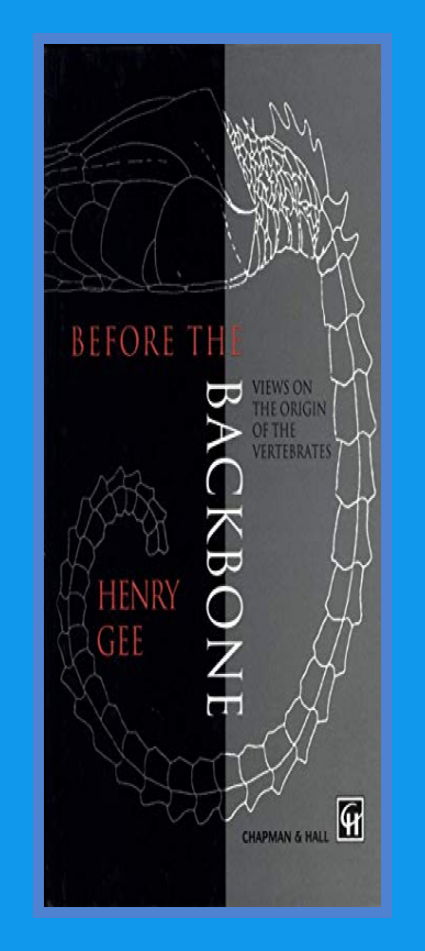 Before the Backbone: Views on the origin of the vertebrates