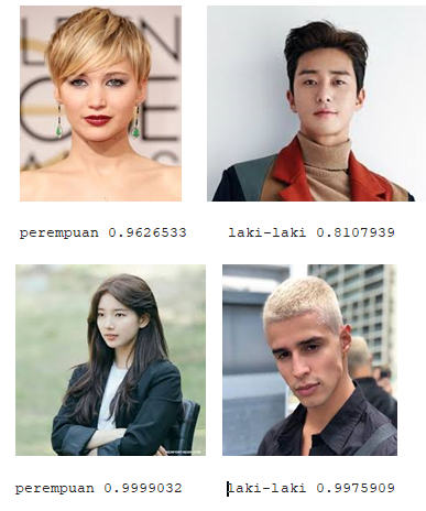 Klasifikasi Gambar Menggunakan Tensorflow — Keras di Python | by ...