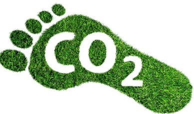 What about a UBI based on minimized carbon footprint