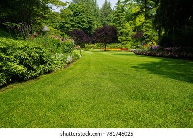 Property for Sale in Shahpur Kangra: A Growing Real Estate Opportunity in Himachal Pradesh