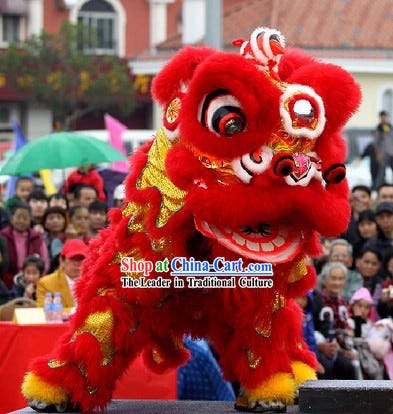 How to Choose the Right Lion Dance Costume