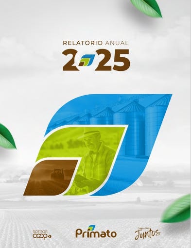 Relatório Anual 2025