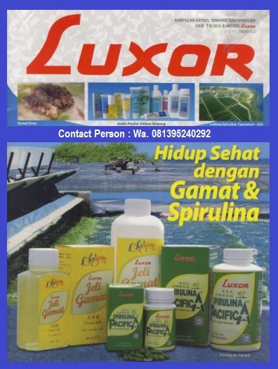 Testimoni Jelly Gamat Luxor Untuk Penyakit Sinusitis 081395240292