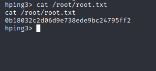 root flag