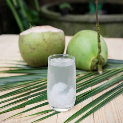 Plant coconut trees: Drink green coconut water as a soft drink ...