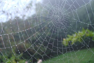 Strutture antisismiche? Una possibile soluzione da Aracne