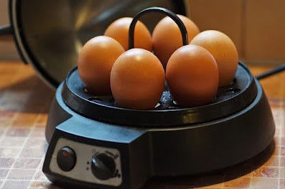 Cooks Professional Multi-functional Electric Egg Cooker, Boil or Poach