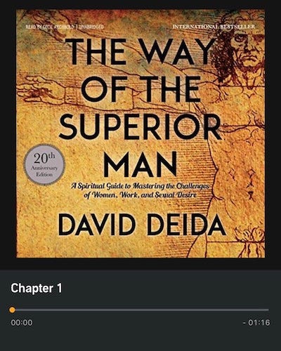 The Way of the Superior Man by David Deida, by Harrison Wendland