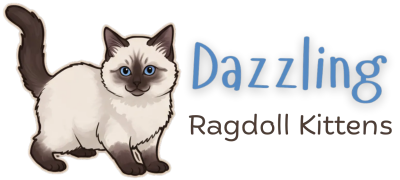 Dazzling Ragdoll Kittens