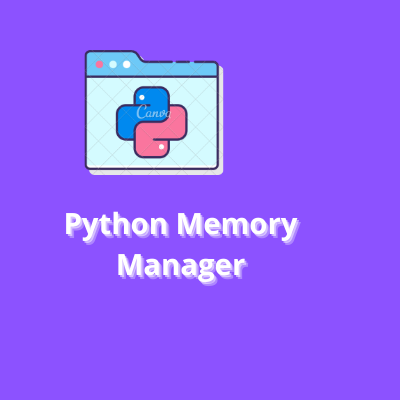 Python Memory Manager. Python is one among the foremost… | by MK | Medium