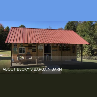 Becky’s Bargain barn. Becky’s Bargain Barn is a discount… | by Beckys