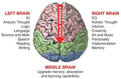 What You Will Know From DMIT Report Counselling?