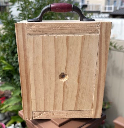 The Wooden Box