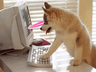 擁抱 Vim 讓你的時間不浪費在編輯上