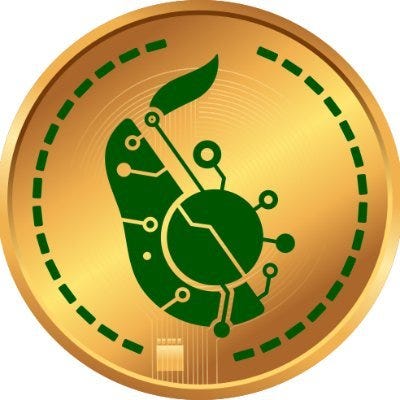 avocado coin cryptocurrency