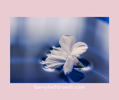 Image of a sensitive flower floating on water