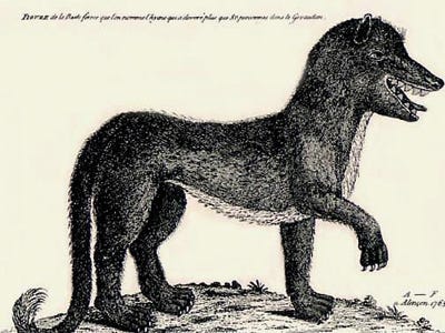 An engraving of the Beast of Gévaudan by an unknown artist, 1765 (Wikimedia Commons)