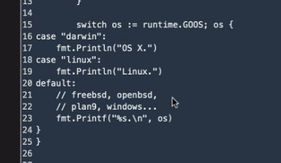 Go Language Basics. Getting started… use playground for… | by ...