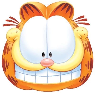 cara de garfield