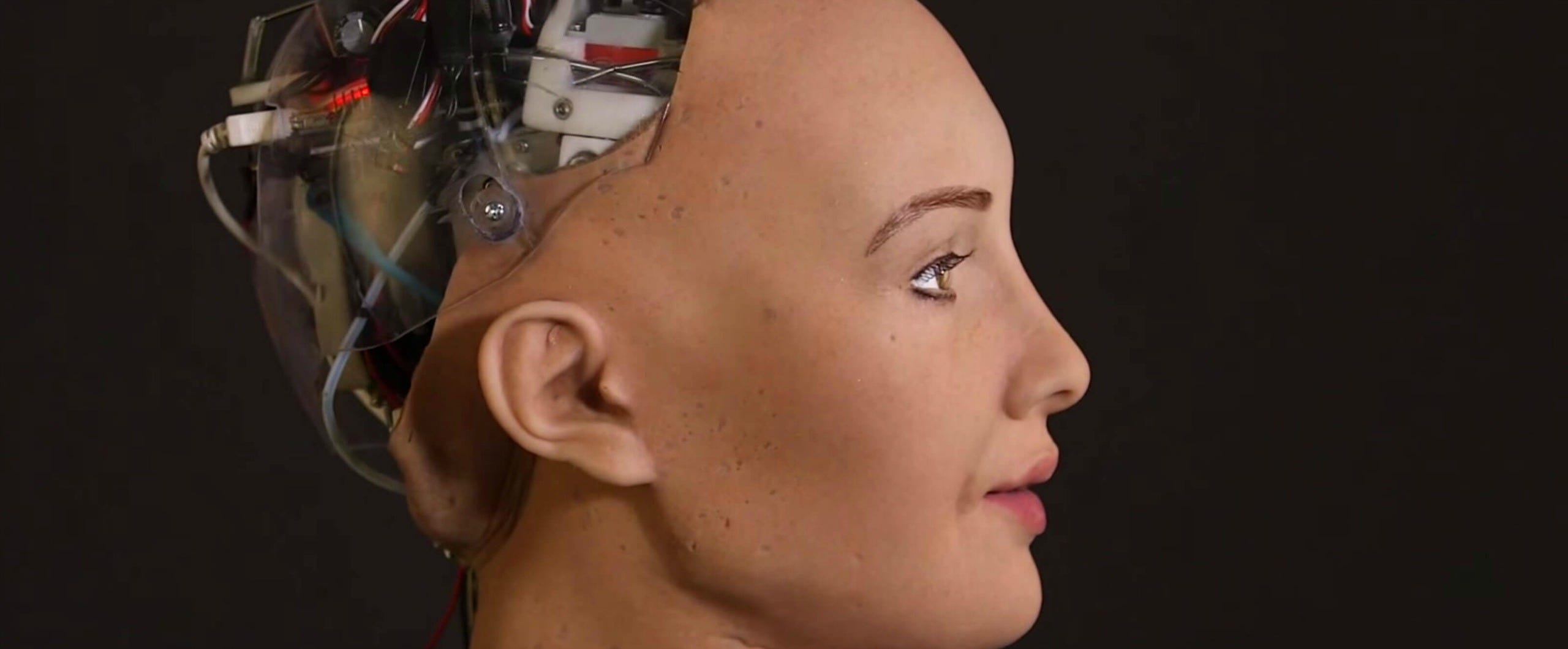 I helped build Sophia the Robot. We should not be scared of AI for