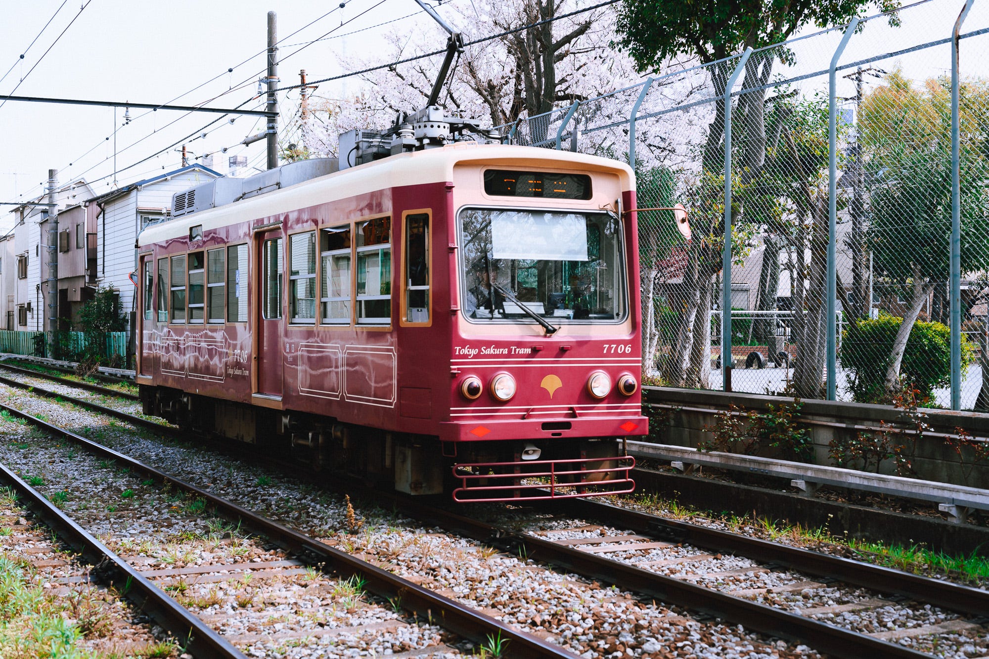 Exploring Minowabashi and The Tokyo Sakura Tram (Toden Arakawa