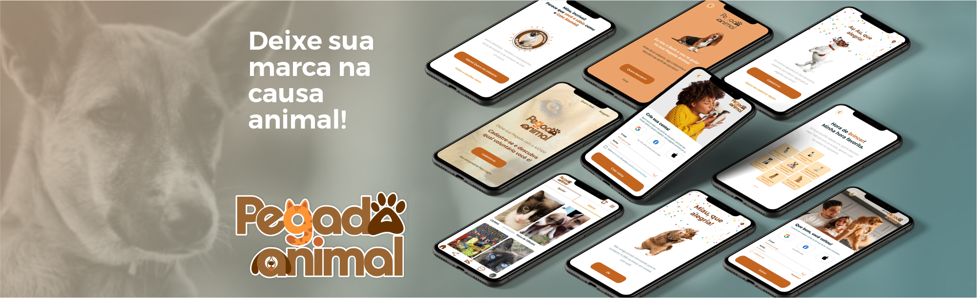 Pet World - Abrigo de animais – Apps no Google Play