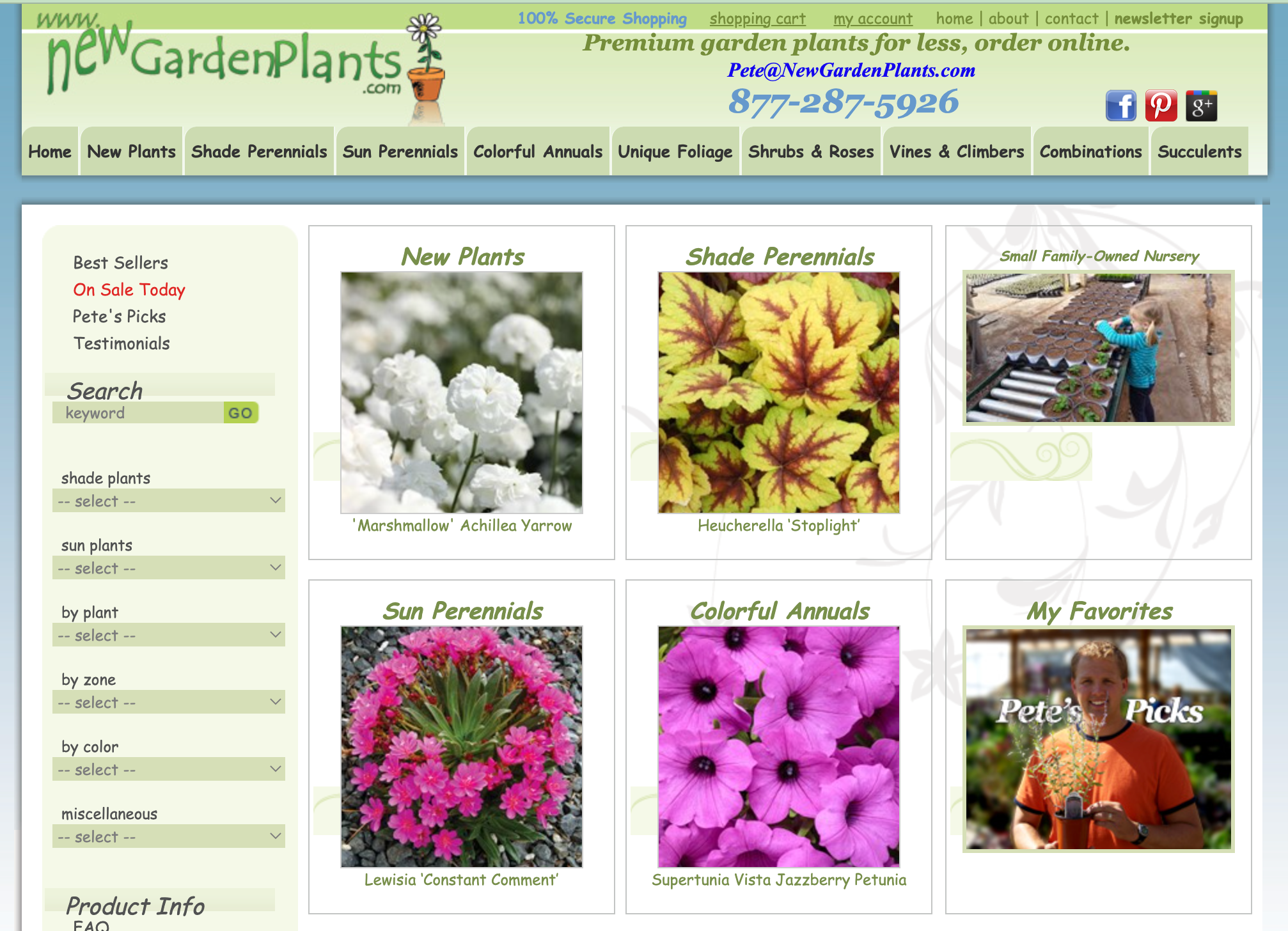 Top 4 Websites to Buy Flower Plants Online: A Blossoming Selection